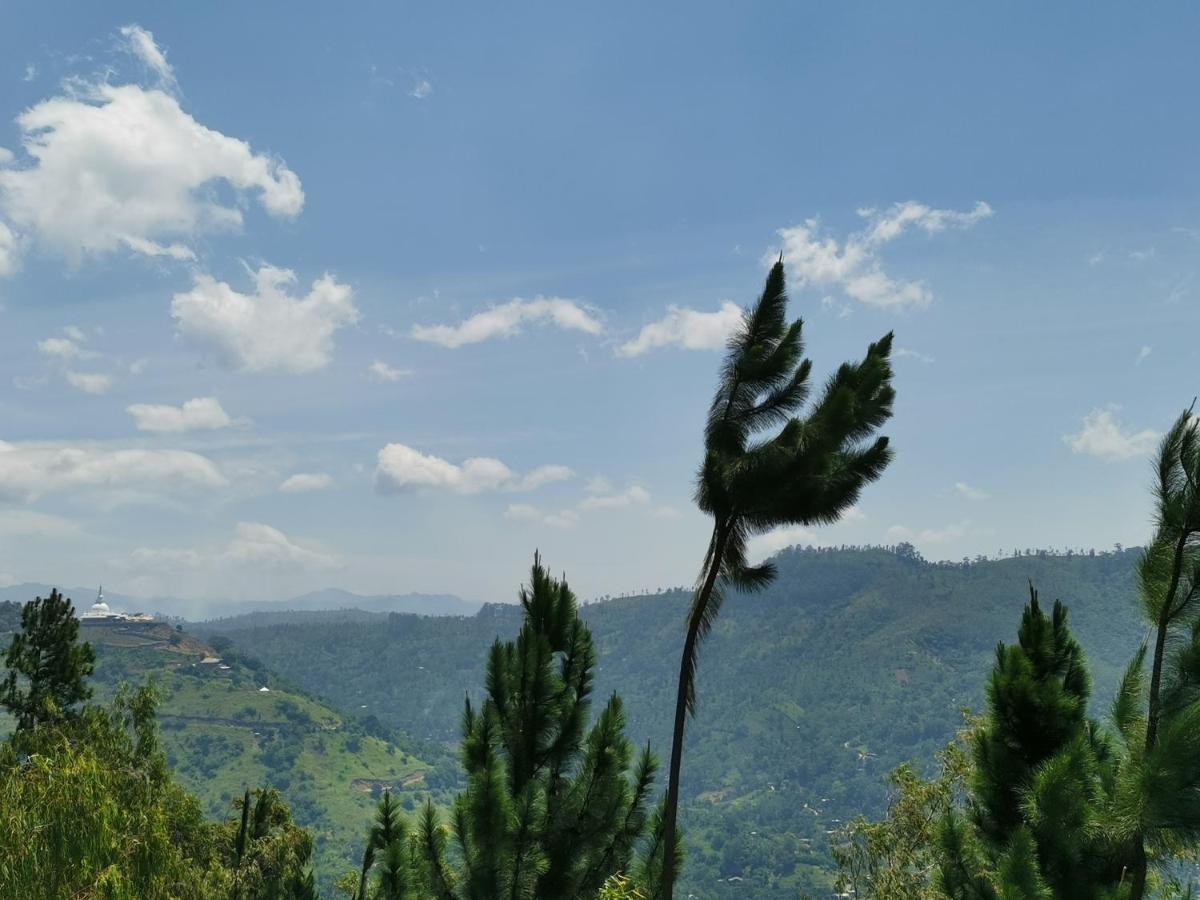 Mountain Peak Ella Panzió Kültér fotó
