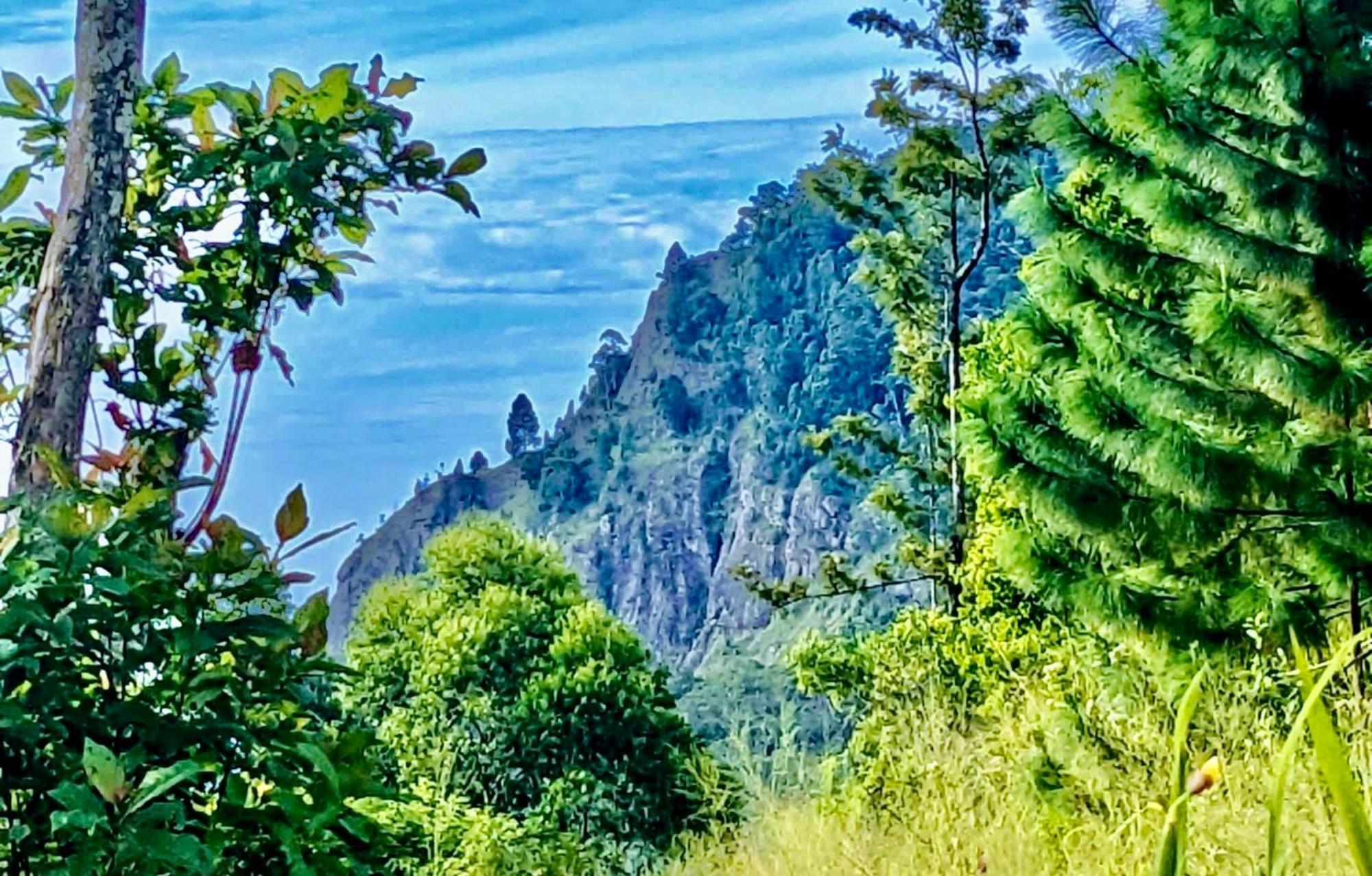 Mountain Peak Ella Panzió Kültér fotó